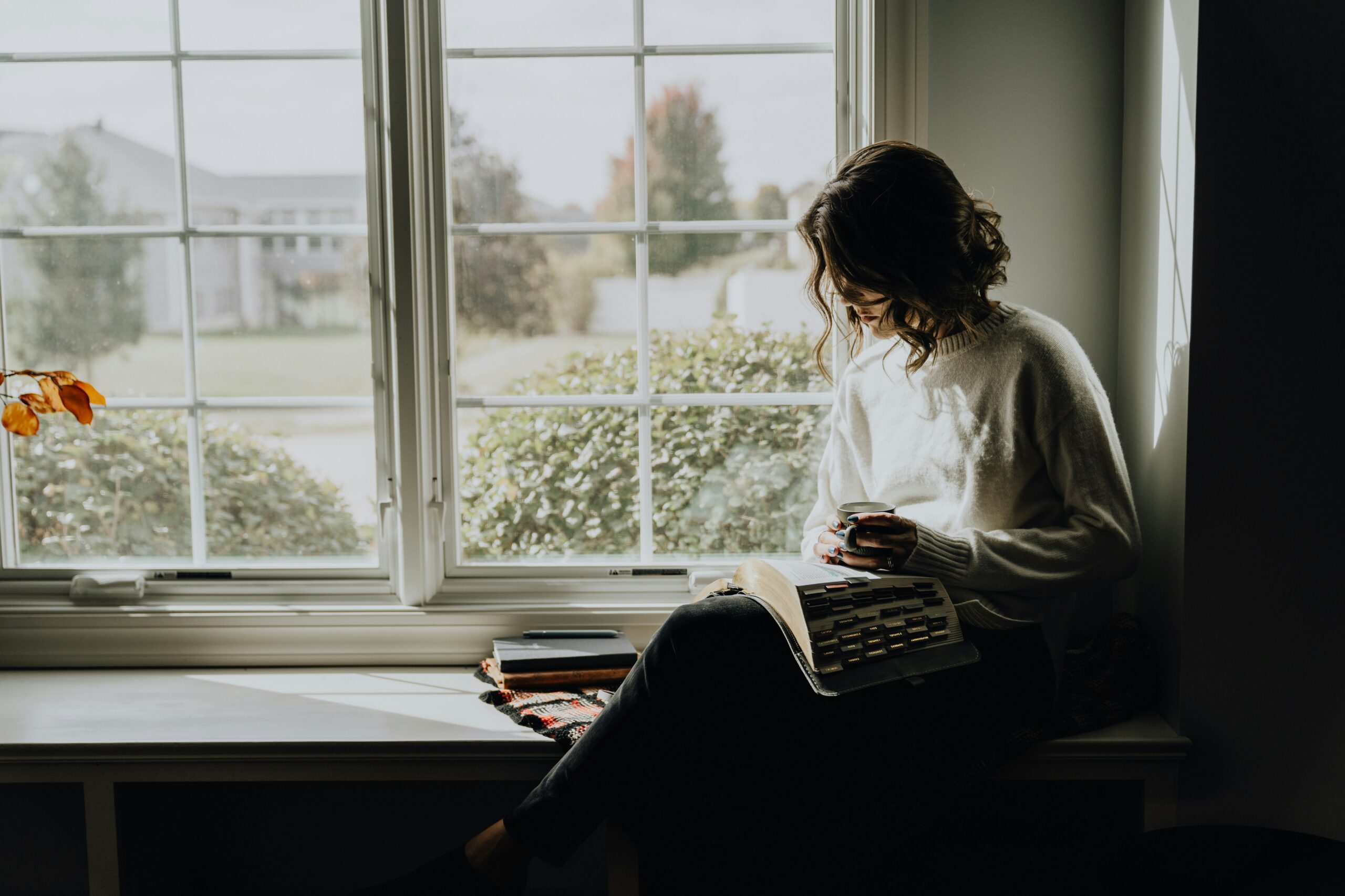 an introvert enjoying some downtime reading sitting next a large window in the countryside